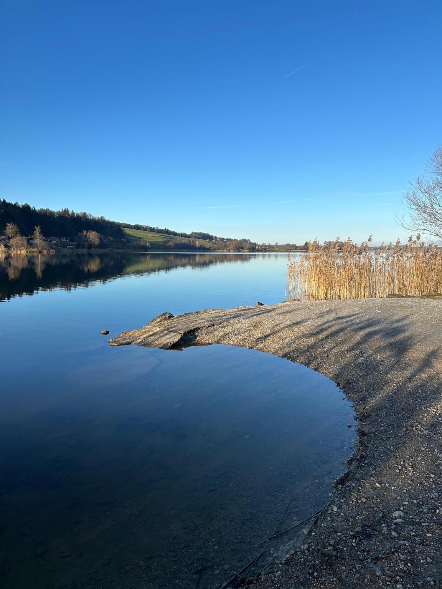 Ferienwohnungen Am See Obertrum am See Zewnętrze zdjęcie